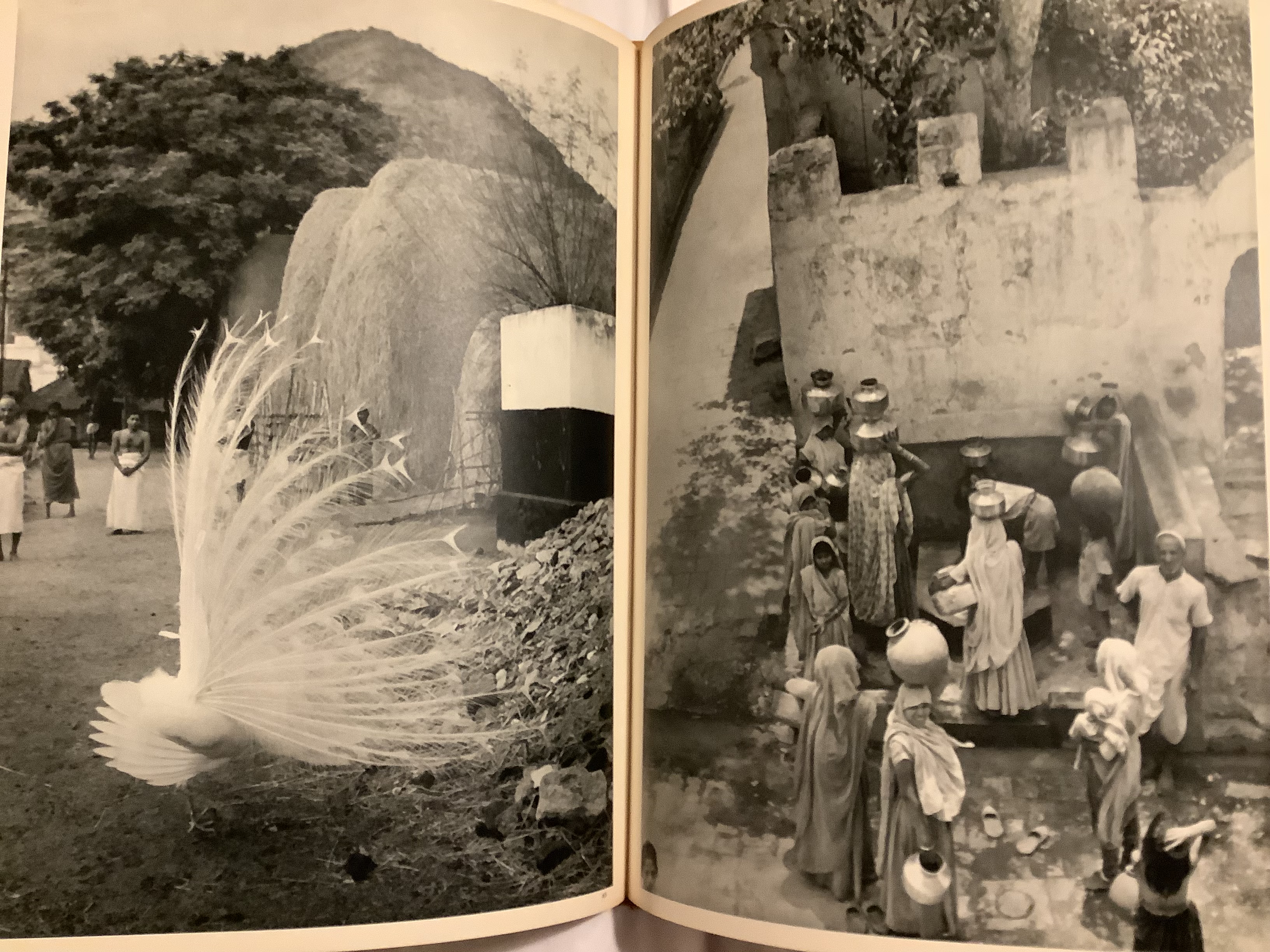 The Decisive Moment (Photography) Foreword by Cartier The Decisive Moment (Photography) Foreword by Cartier