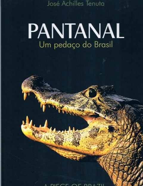 PANTANAL: UM PEDACO DO BRASIL. (A PIECE OF BRAZIL) Bi-lingual. - JOSE ACHILLES TENUTA. TRANSLATOR: STEVE BRIAN ROBINSON.