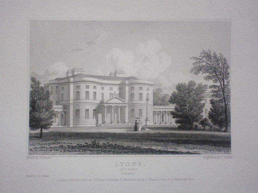 Original Antique Engraving Illustrating a View of Lyons in Kildare