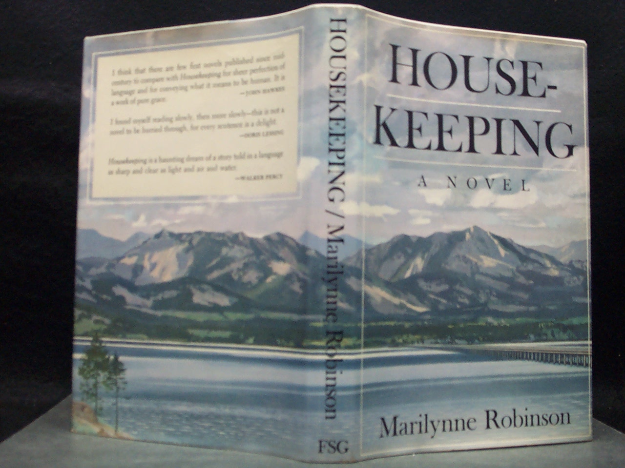 HOUSEKEEPING ROBINSON, MARILYNNE [ ] [Hardcover]