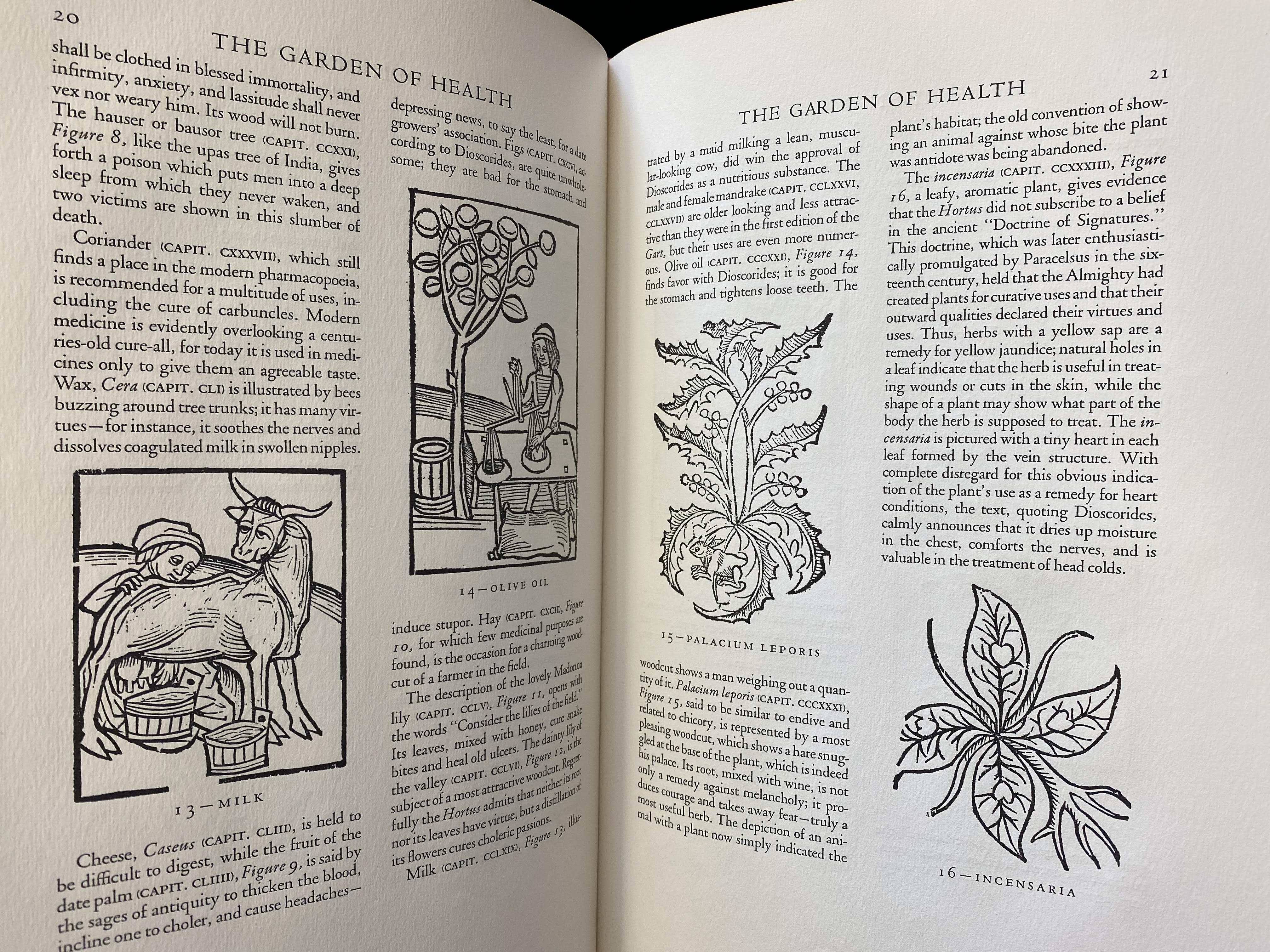 The Garden of Health An Account of Two Herbals The Gart Der Gesundheit