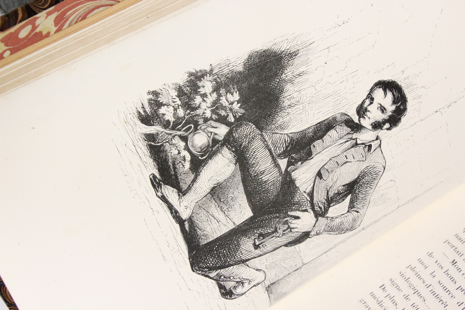 Picciola Xavier Boniface SAINTINE [ ] [Couverture rigide]