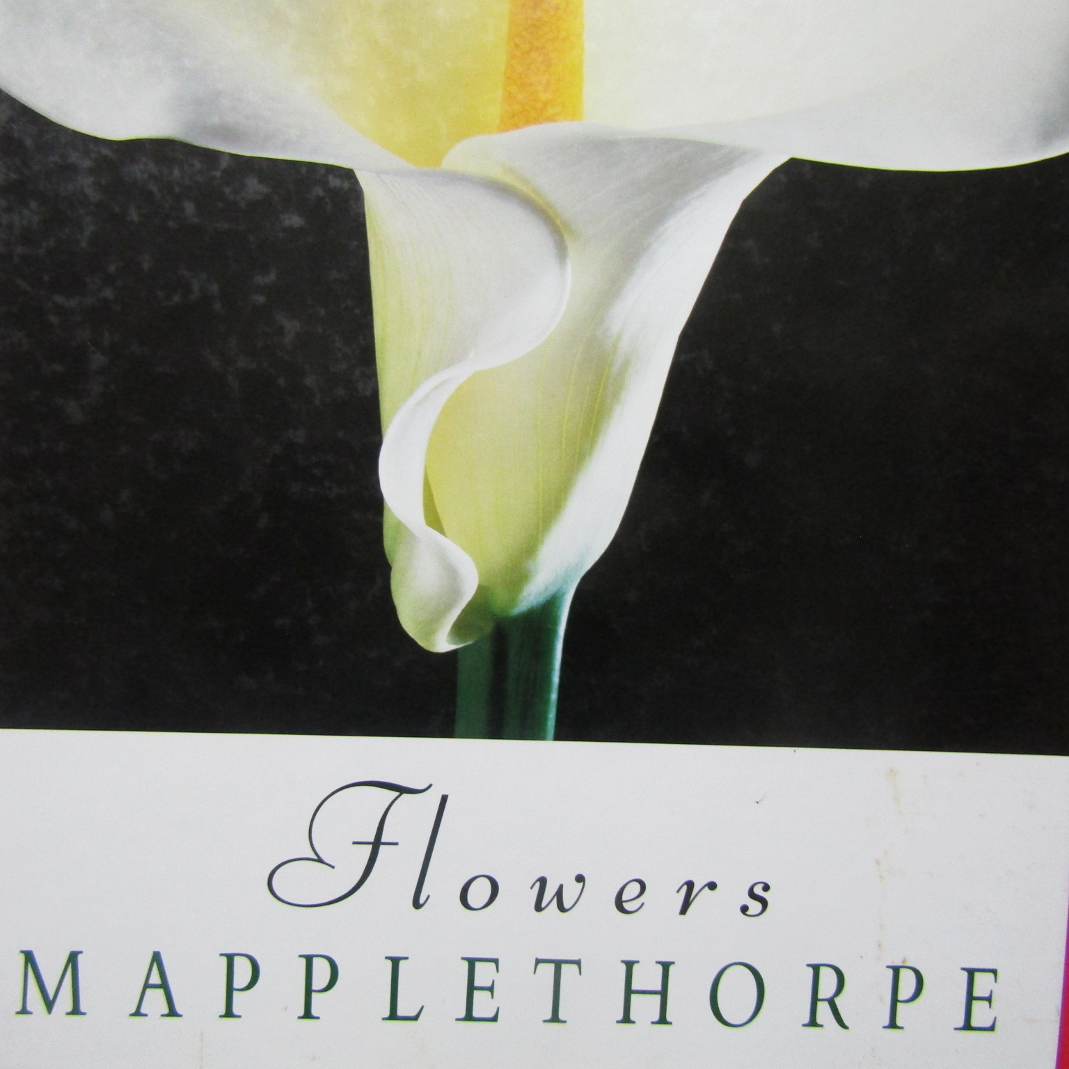 Mapplethorpe Flowers - Patti Smith
