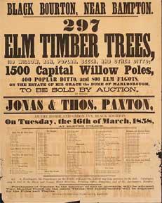 297 Elm Timber Trees, Willow, Ash, Poplar, Beech, and other Ditto; 1500 Capital Willow Poles. Black Bourton, near Bampton [original auction poster].