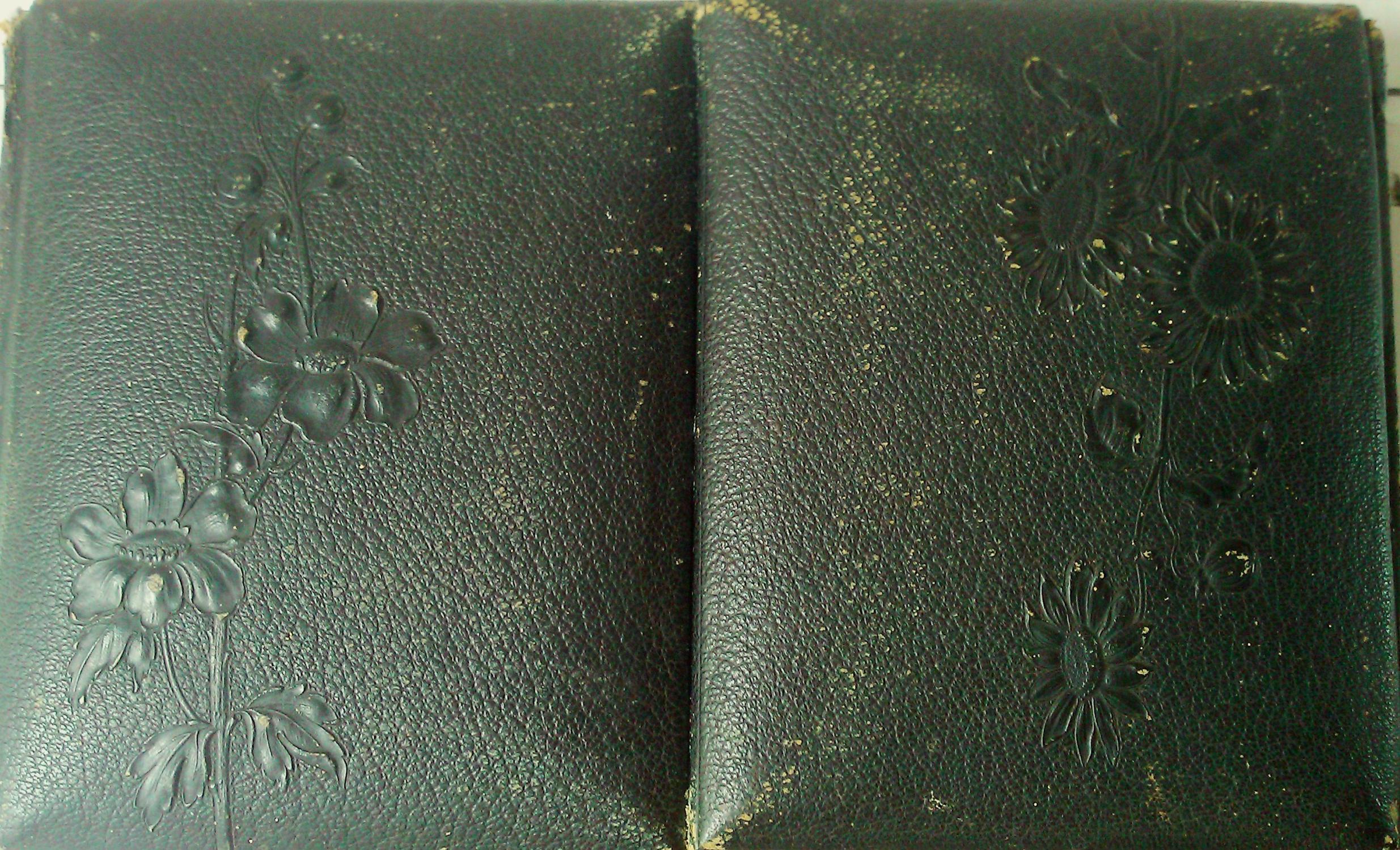 Nineteenth Century Photograph Album [Good] [Hardcover]