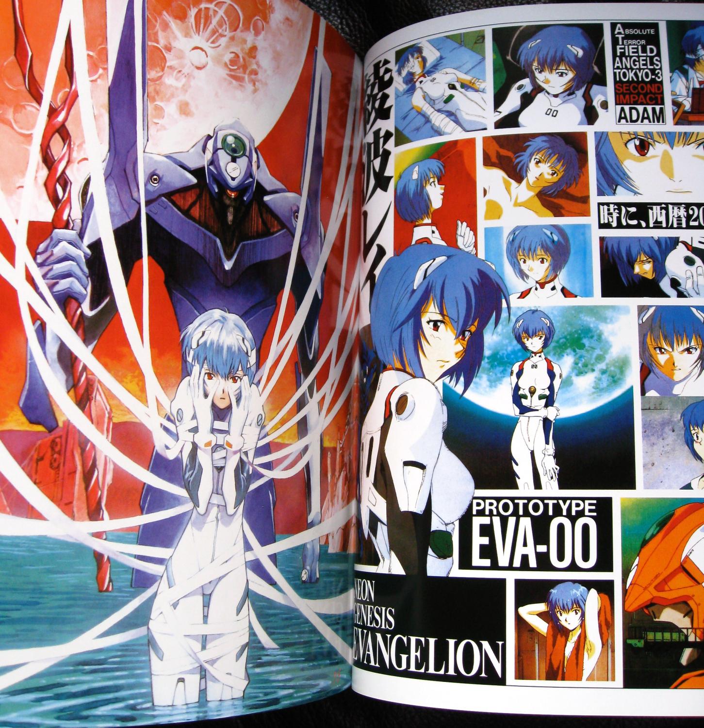 Neon Genesis Evangelion New Collection 4