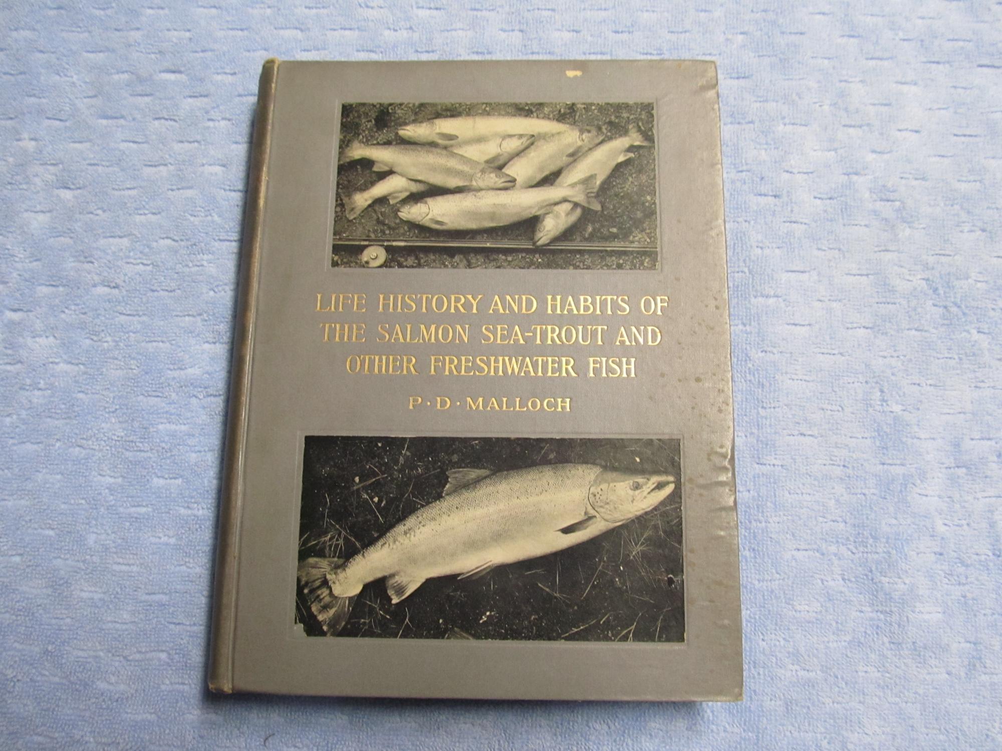LifeHistory and Habits of the Salmon, SeaTrout, Trout, and Other