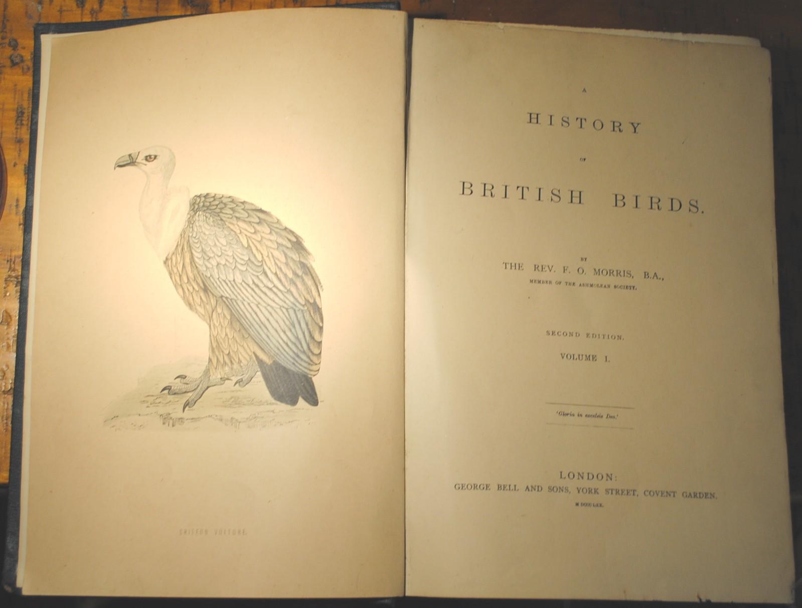 A History of British Birds by F O Morris (Reverend): Good A History of British Birds by F O Morris (Reverend): Good