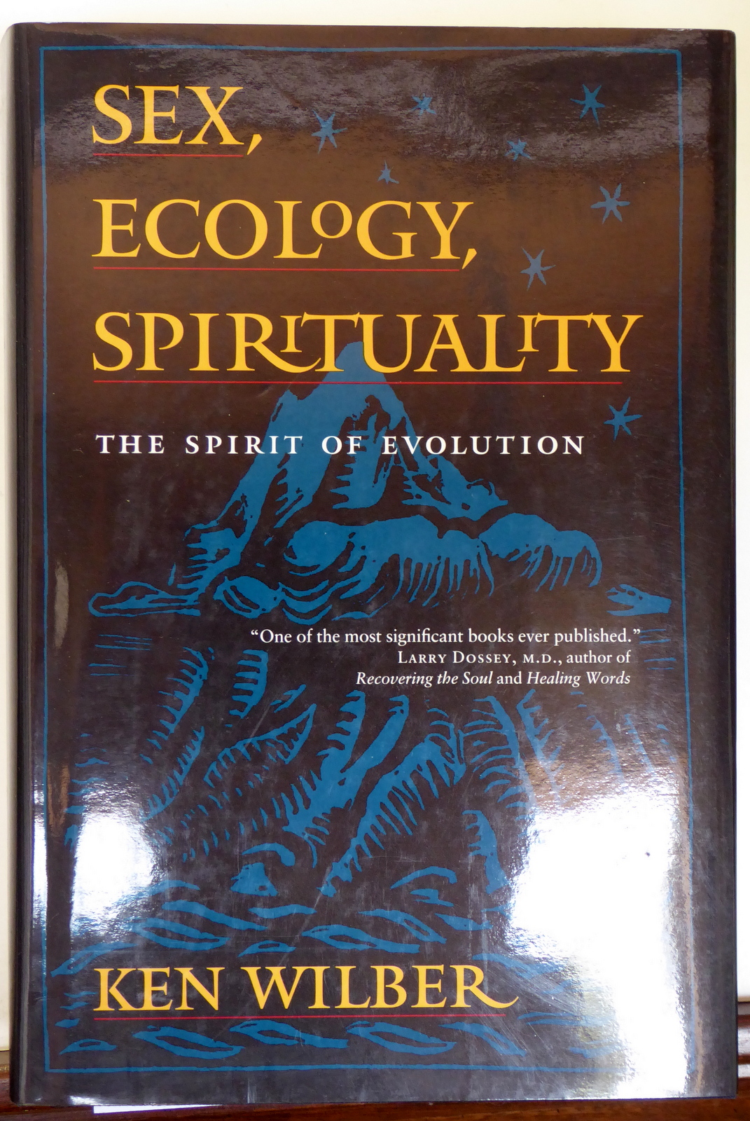 SEX, ECOLOGY AND SPIRITUALITY: THE SPIRIT OF EVOLUTION by Ken