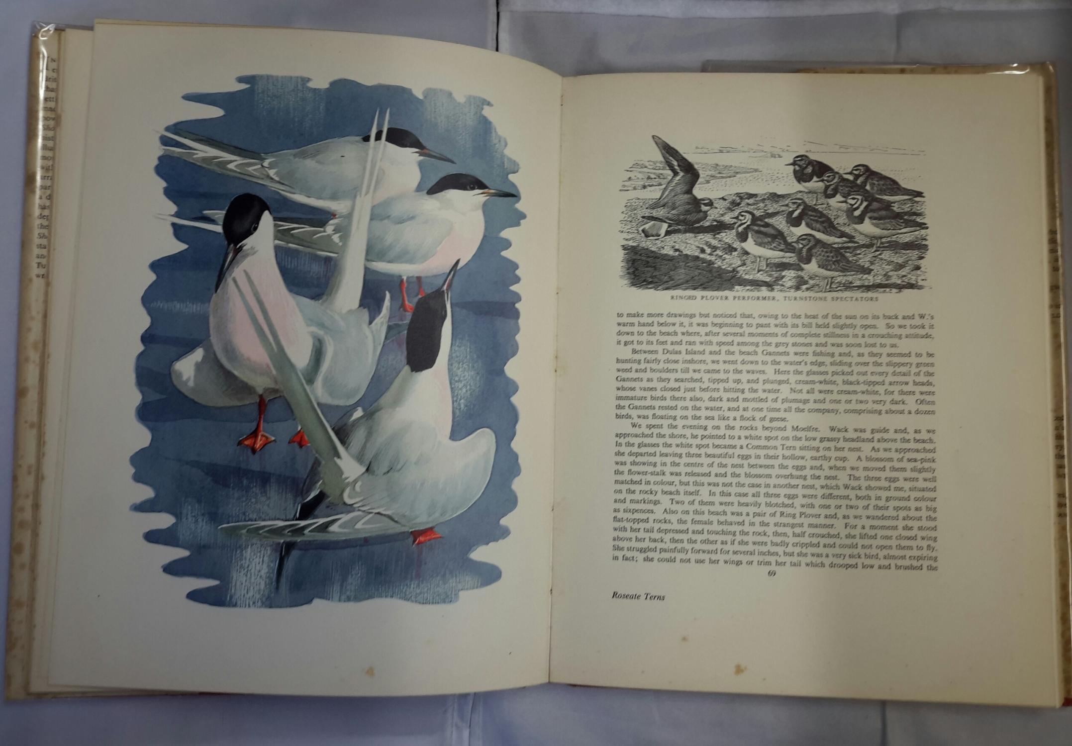 Shorelands Summer Diary. de TUNNICLIFFE, C. F.: (1952) | Addyman Books