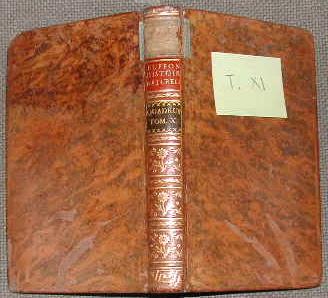 Histoire naturelle, générale et particulière: Quadrupèdes-Tome XI [X]. [LIVRES ANCIENS] BUFFON (comte de) [ ]