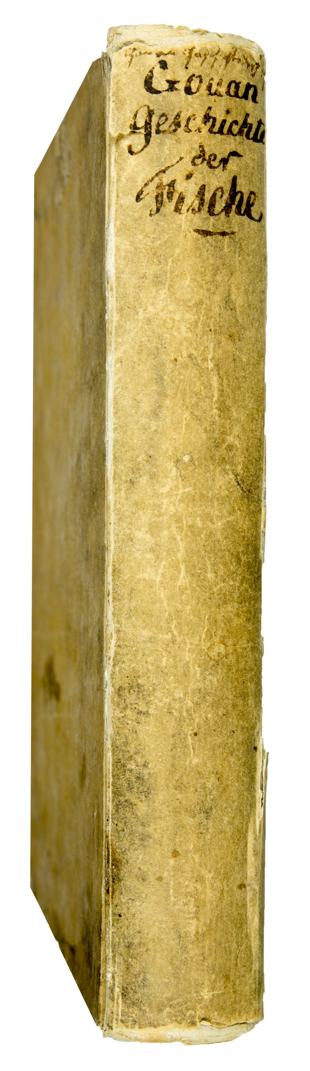 Geschichte Der Fische Welche Derselben Aussere Und Innere Beschaffenheit Und In Klassen Und Ordnungen Abgetheilte Gattungen Enthalt Aus Dem Lateinischen Ubersetzt Von Karl Freyhern Von Meidinger Von Gouan A Antiquariaat Junk