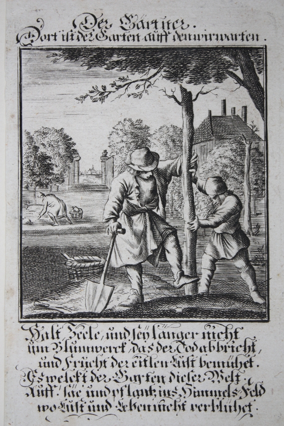 Der Gärtner ". Kupferstich bei Weigel, Nürnberg, 1698. 13 x 8 cm