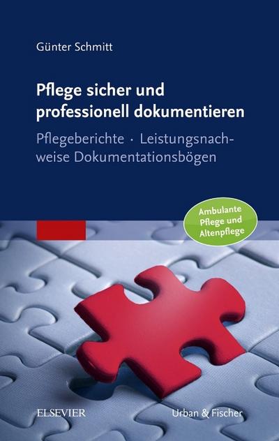 Pflege sicher und professionell dokumentieren : Pflegeberichte - Leistungsnachweise - Dokumentationsbögen / Ambulante Pflege und Altenpflege - Günter Schmitt