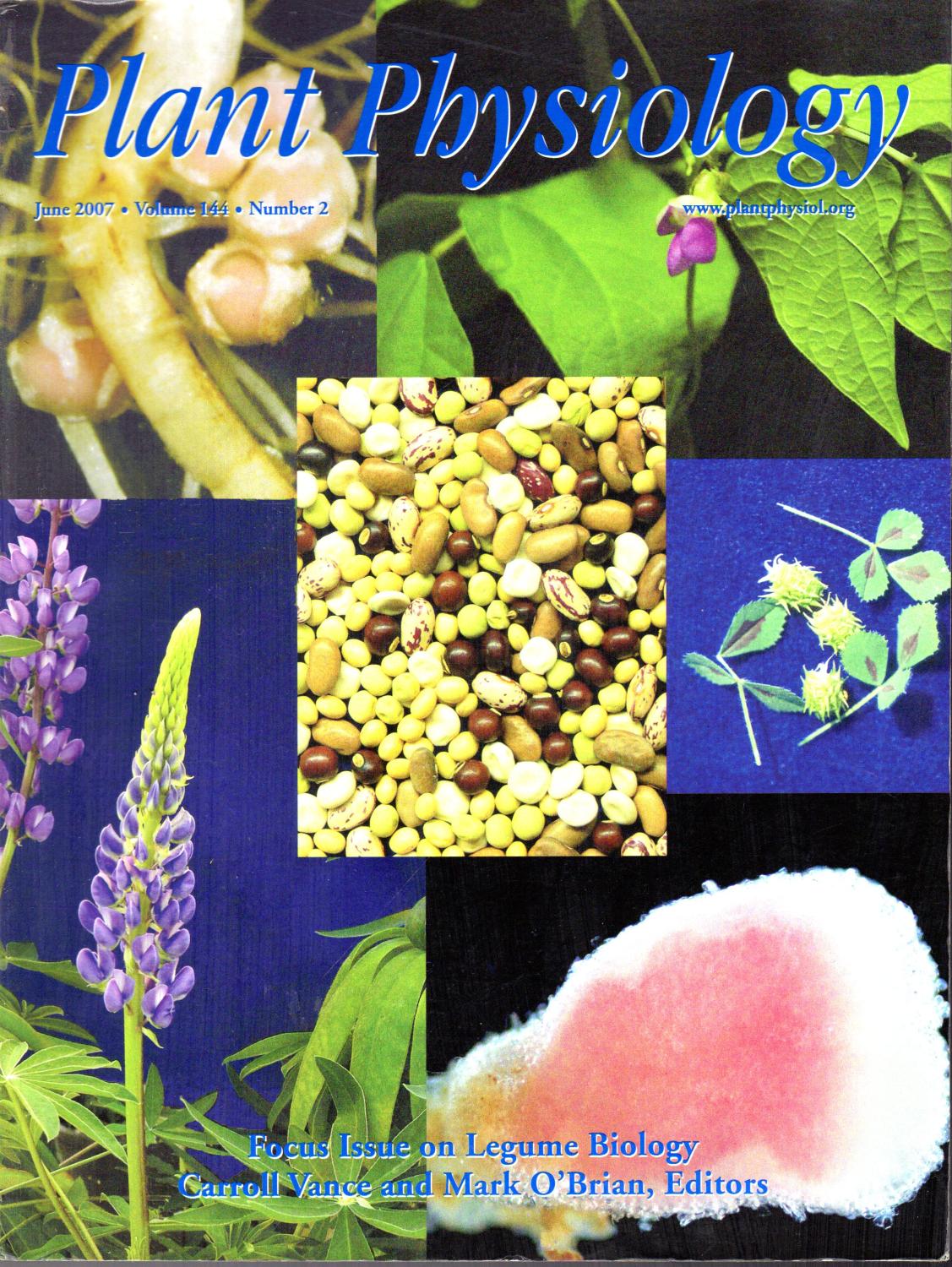 Plant Physiology Volume 144, No. 2 June, 2007 (Focus Issue on Legume