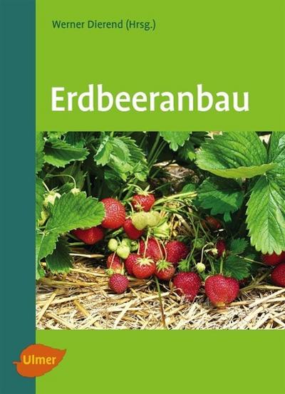 Erdbeeranbau - Werner Dierend