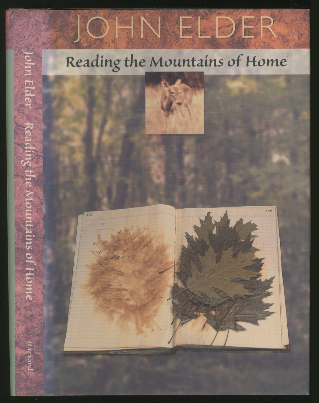 Reading the Mountains of Home - ELDER, John