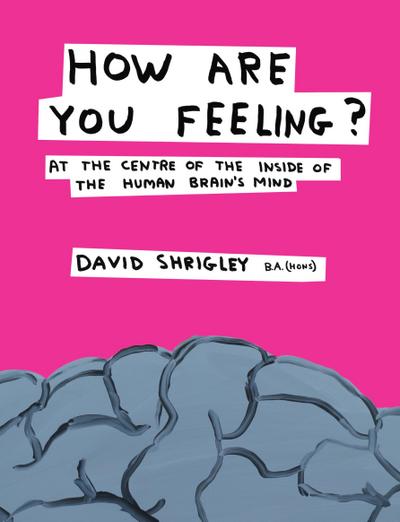 How Are You Feeling? : At the Centre of the Inside of The Human Brain's Mind - David Shrigley