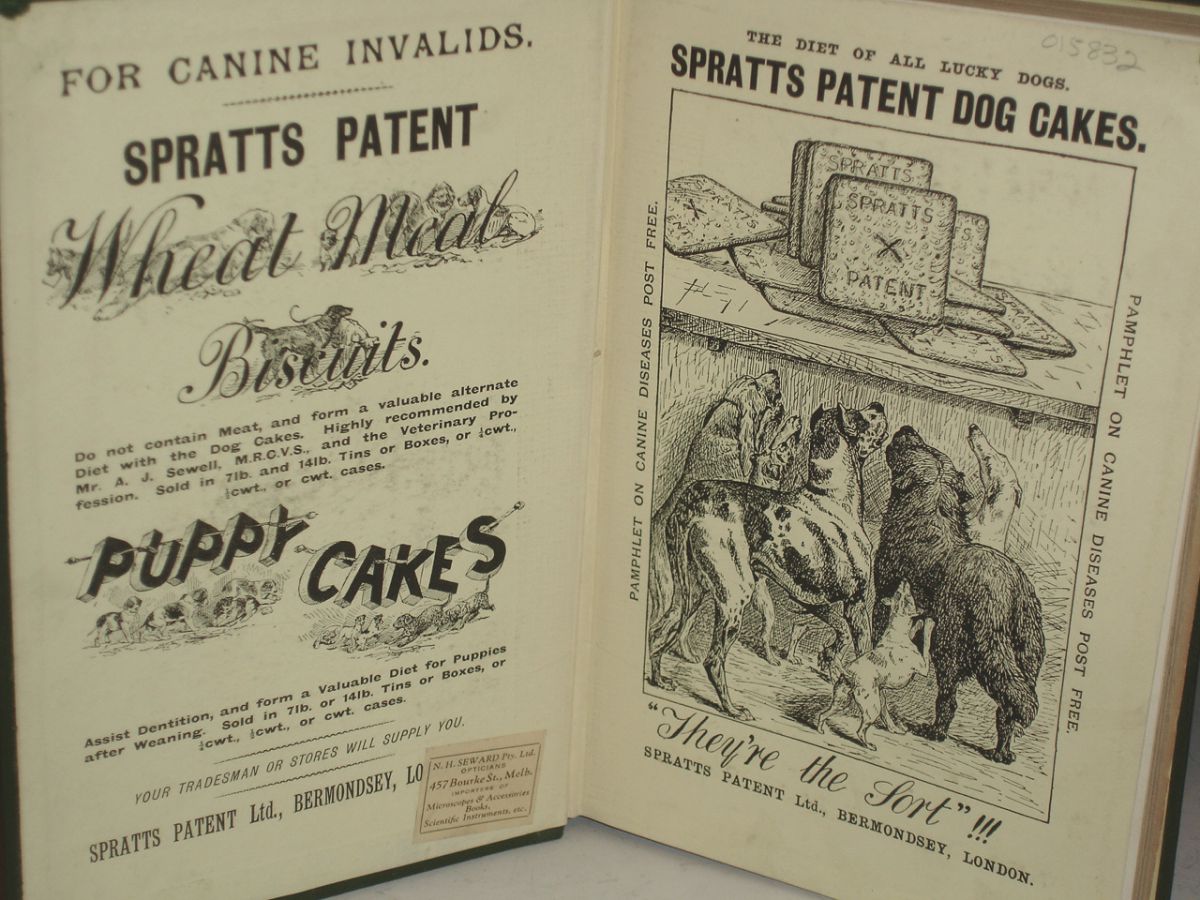 The St. Bernard. Its History, Points, Breeding, and Rearing by Dalziel ...