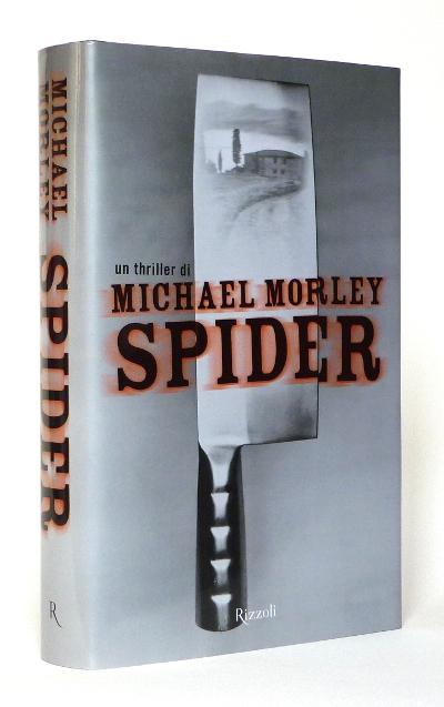 Spider - Michael Morley