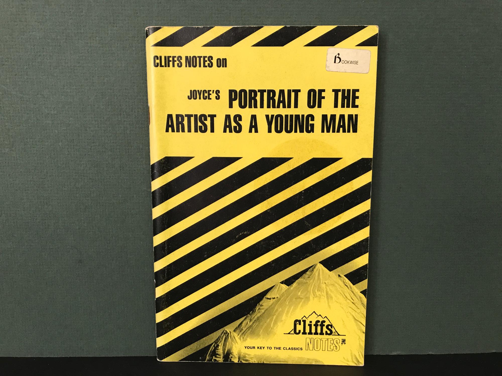 Cliffs Notes on Joyce's A Portrait of the Artist as a Young Man - Zimbaro, Valerie Pursel (James Joyce)
