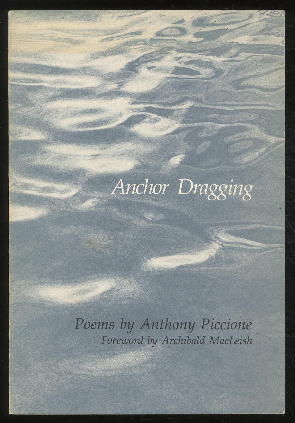 È Maltrattamento Di Animali Utilizzare Piccioni Vivi Come Esche Per La - Foto 5