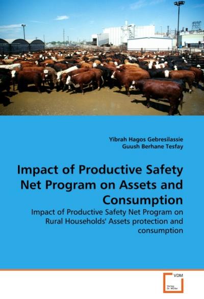 Impact of Productive Safety Net Program on Assets and Consumption : Impact of Productive Safety Net Program on Rural Households' Assets protection and consumption - Yibrah Hagos Gebresilassie