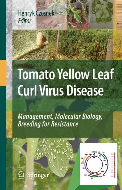 Tomato Yellow Leaf Curl Virus Disease : Management, molecular biology, breeding for resistance - Henryk Czosnek