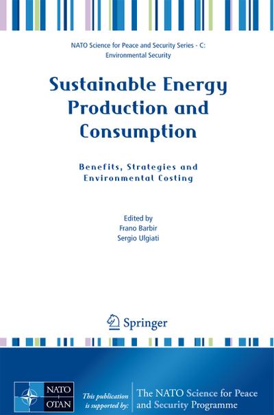 Sustainable Energy Production and Consumption : Benefits, Strategies and Environmental Costing - Sergio Ulgiati