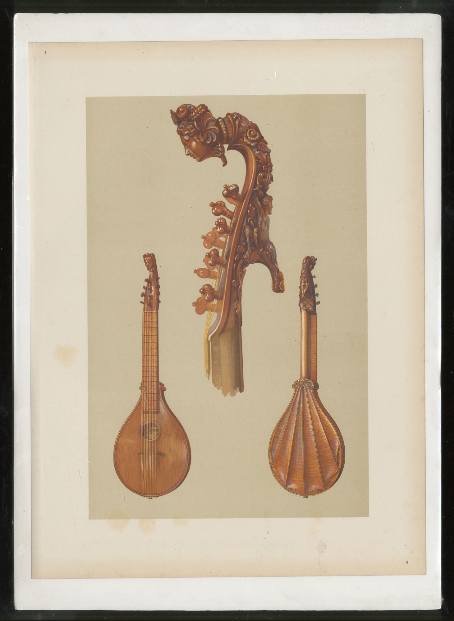 [Color Lithographic Print]: "Cetera, by Antonius Stradivarius" [from] Musical Instruments, Historic, Rare and Unique HIPKINS, Alfred J. (William Gibb