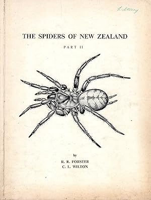 The Spiders of New Zealand Part 2