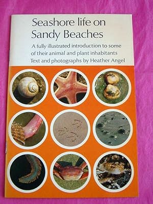 SEASHORE LIFE ON SANDY BEACHES Seashore Life Series Book 1
