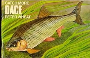 Catch More Dace