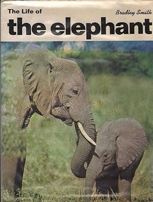 Seller image for The Life of the Elephant for sale by Mr Pickwick's Fine Old Books