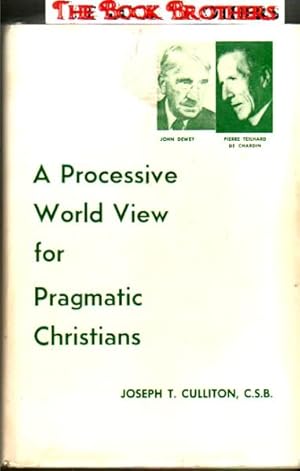 Seller image for A Processive World View for Pragmatic Christians for sale by THE BOOK BROTHERS