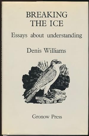 Breaking the Ice; Essays about Understanding