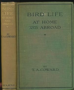 Bird Life : At Home and Abroad