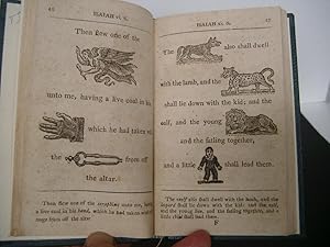 NEW AND COMPLETE HIEROGLYPHICAL BIBLE: Being a Careful Selection o the Most Interesting and Impor...