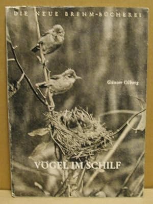 Vögel im Schilf. (Neue Brehm-Bücherei 61)