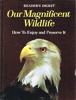 Our Magnificent Wildlife How to Enjoy it and Preserve It