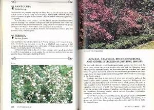 Imagen del vendedor de Gardening in the South with Don Hastings : Trees, Shrubs & Lawns. [Southern Gardening Heritage; Southern Soils; Bare-Root Plants; Balled & Burlapped Plants; Container-Grown Plants; Southern Shade Trees; Flowering Trees; Shrubs; Lawns; etc] a la venta por Joseph Valles - Books