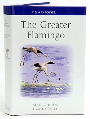 Image du vendeur pour The Greater flamingo. mis en vente par Andrew Isles Natural History Books
