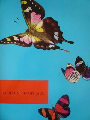 Immagine del venditore per Les papillons tropicaux venduto da JLG_livres anciens et modernes