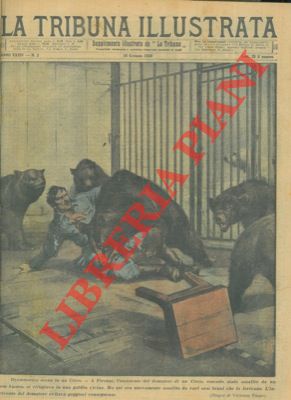 Ferito al circo di Firenze da orsi bruni l' assistente del domatore.