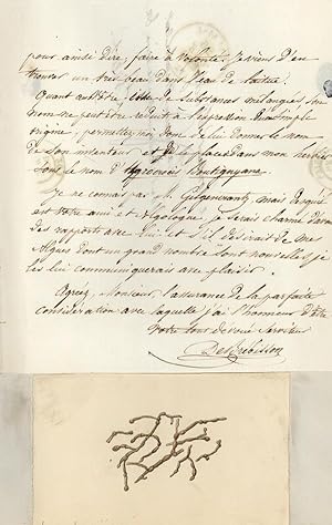 Seller image for Autograph letter signed to Pierre Hippolyte Boutigny, accompanied by watercolor sketch of an alga for sale by Jeremy Norman's historyofscience