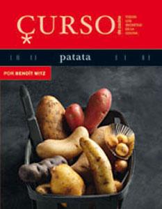 Immagine del venditore per CURSO DE COCINA: PATATA venduto da KALAMO LIBROS, S.L.