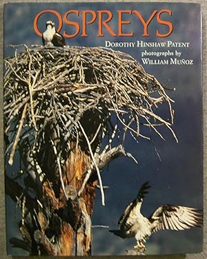 Seller image for Ospreys for sale by Book Nook
