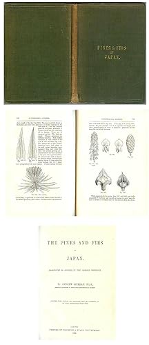 Image du vendeur pour The Pines and Firs of Japan. Illustrated by Upwards of Two Hundred Woodcuts. Reprinted (With Additions and Corrections) from the Proceedings of the Royal Horticultural Society mis en vente par George C. Baxley