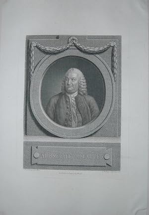 Seller image for Portrait. Brustfigur en face in Oval. Kupferstich von Johann Friedrich Bause nach Freudenberg. for sale by Antiquariat  Braun