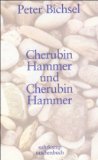 Cherubin Hammer und Cherubin Hammer: Eine Erzählung (suhrkamp taschenbuch)